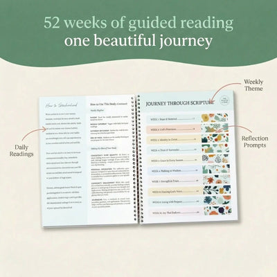 Bible In A Year: 52-Week Study